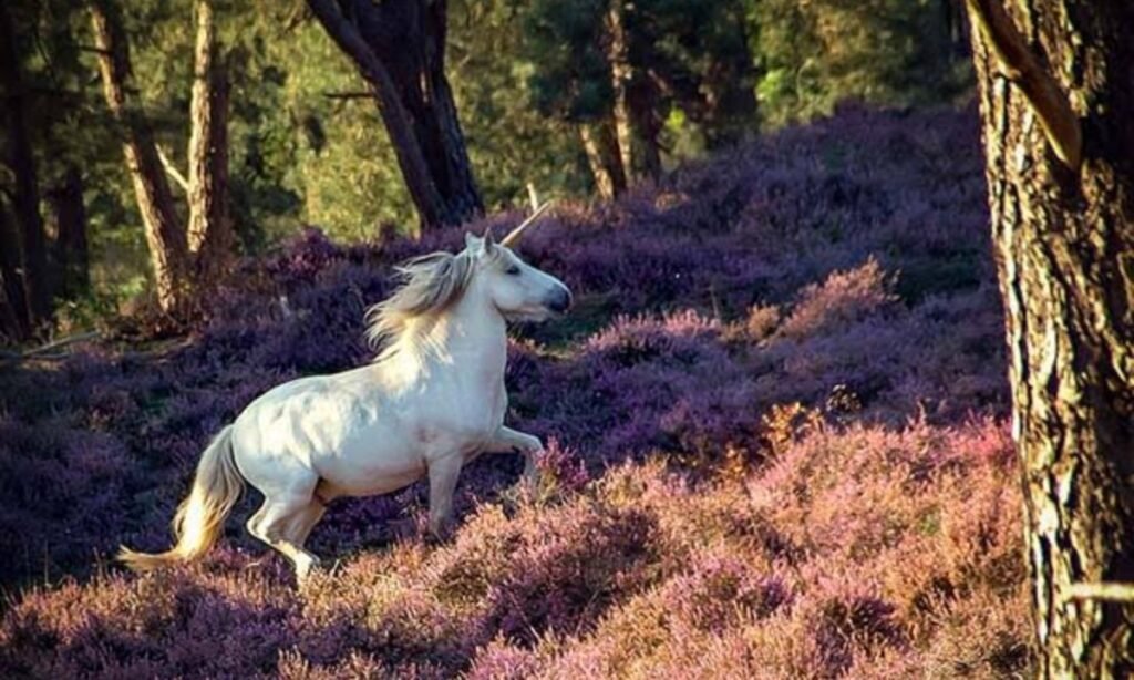 best-unicorn-fantasy-names