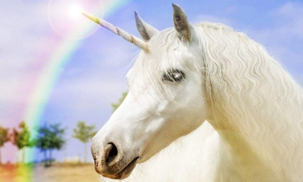 cool-unicorn-name-ideas