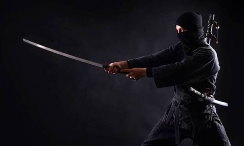 story-behind-ninja-naming