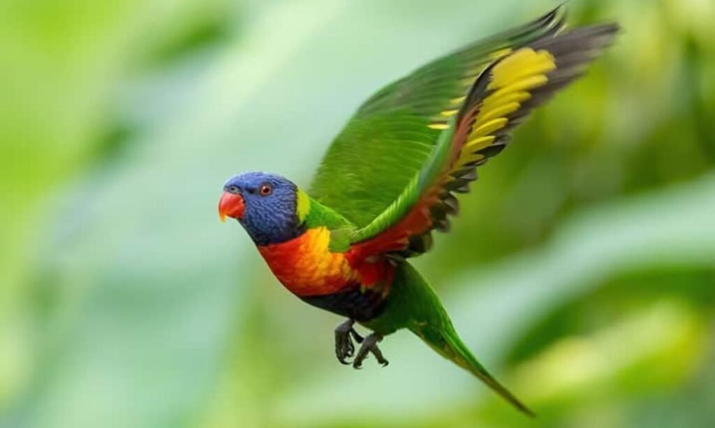 best-parrot-names