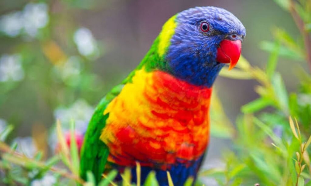 unique-parrot-names