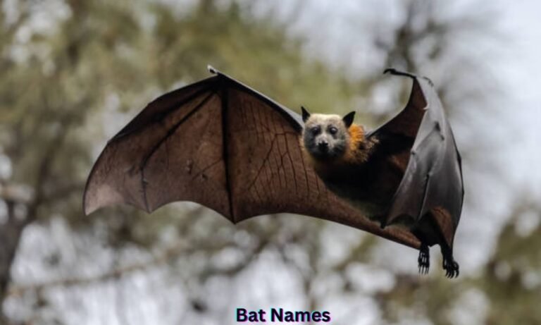 bat-names