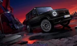 black-car-names